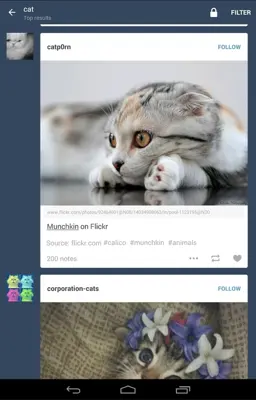 Tumblr android App screenshot 18